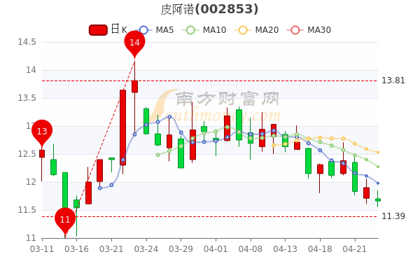 皮阿诺股票最新消息全面解读