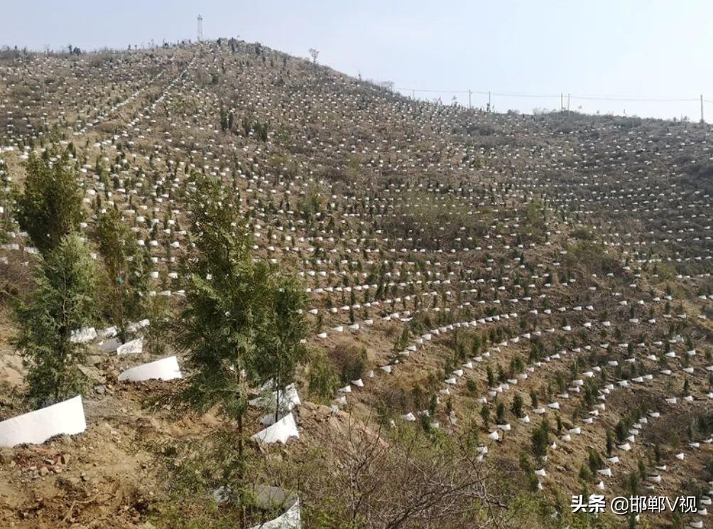 邯郸市永年区未来城市蓝图规划揭秘