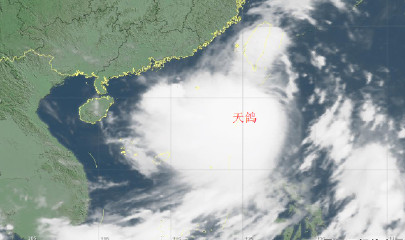 台风天鸽最新动态分析（实时更新）